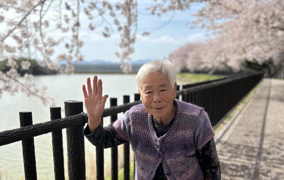 花見1