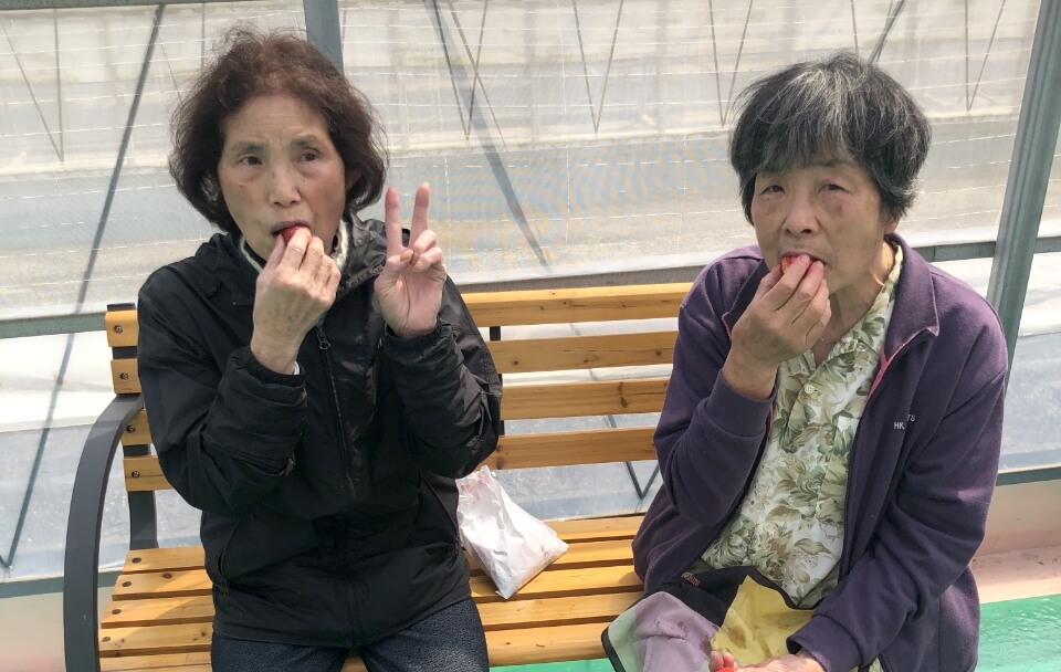 フルーツ狩り3