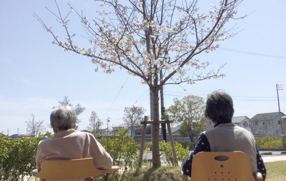 花見3